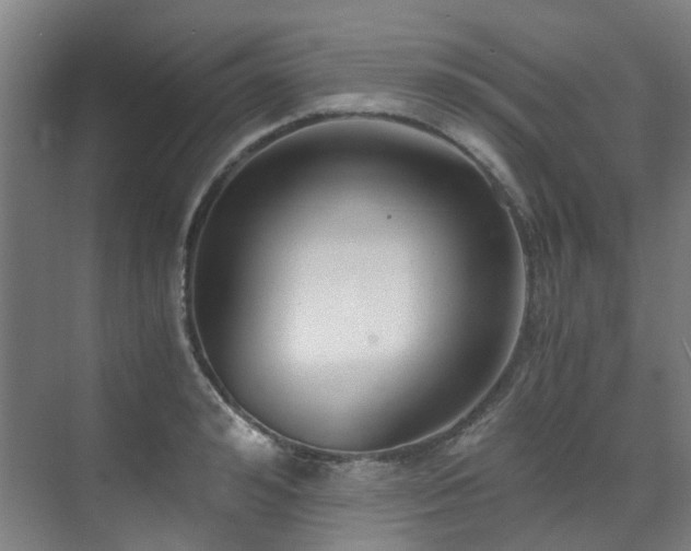 X0000071350992200606261337