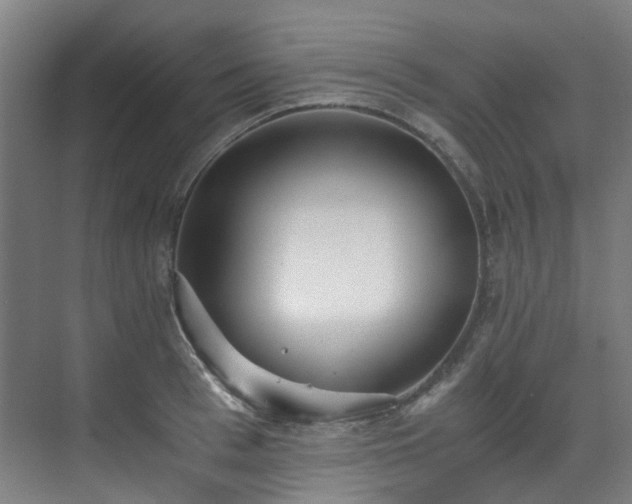 X0000071350993200606261337