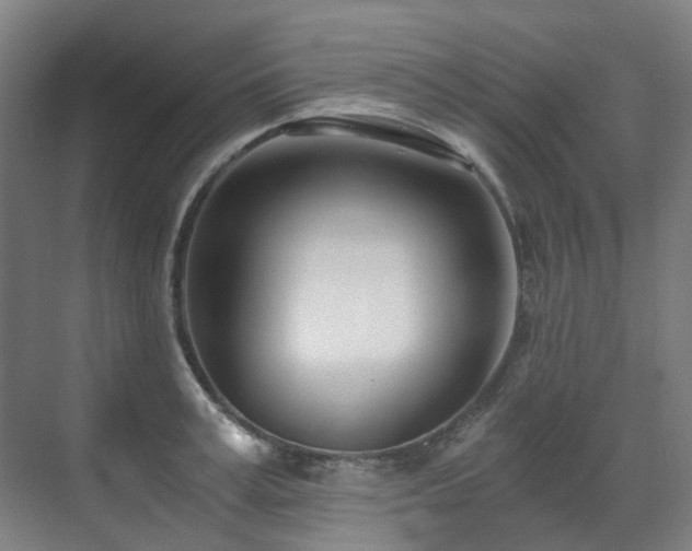 X0000071350995200606261337