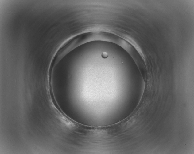 X0000071350996200606261337