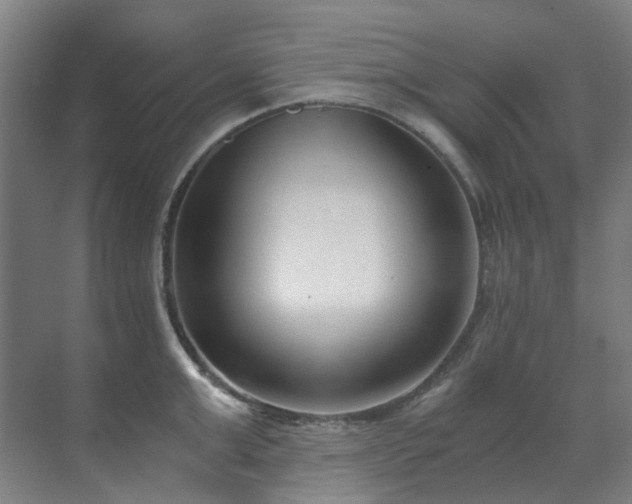 X0000071350999200606261337