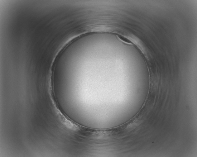 X0000071351000200606261337