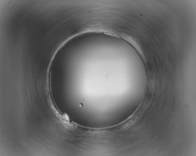 X0000071351004200606261337