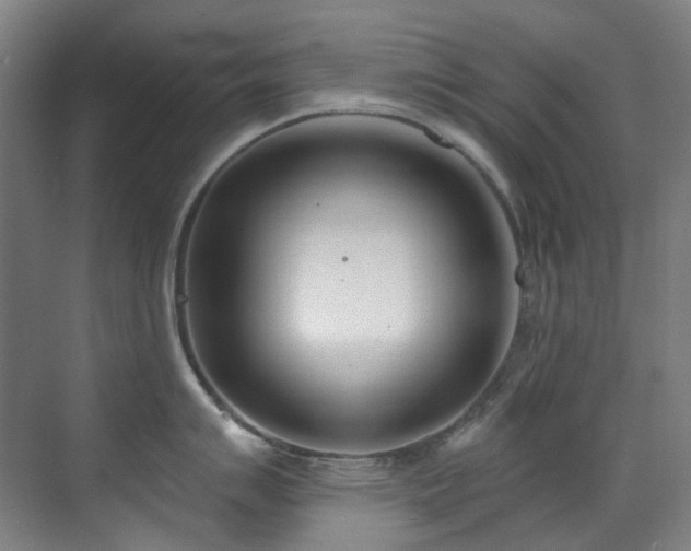 X0000071351007200606261337