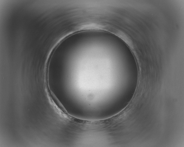 X0000071351008200606261337