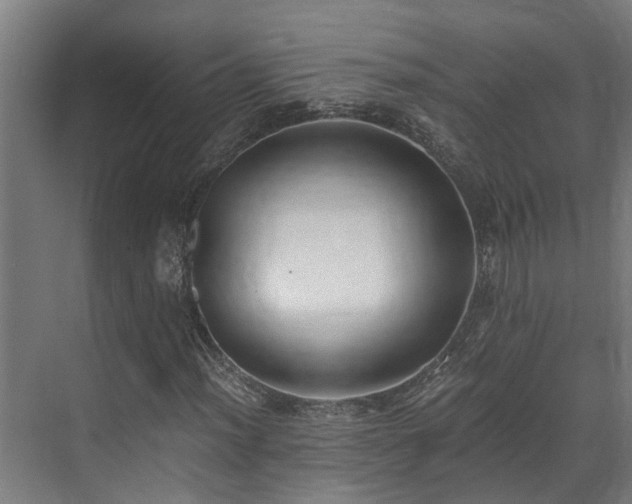 X0000071351012200606261336