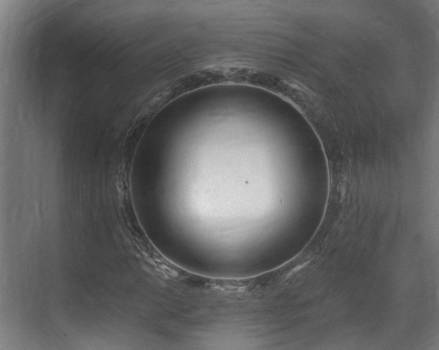 X0000071351014200606261336