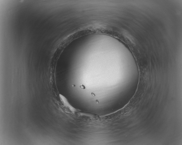 X0000071351016200606261336