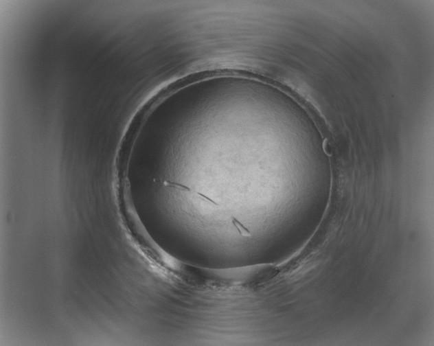 X0000071351024200606261336