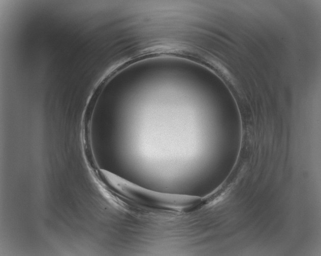 X0000071351034200606261336