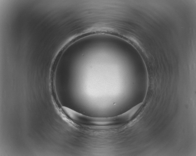 X0000071351038200606261336