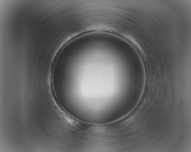 X0000071351040200606261336