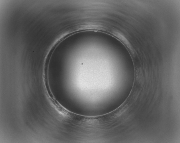 X0000071351043200606261336