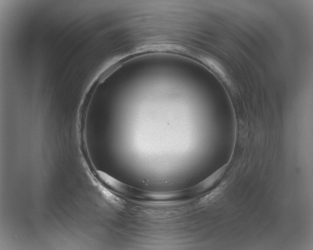 X0000071351046200606261336