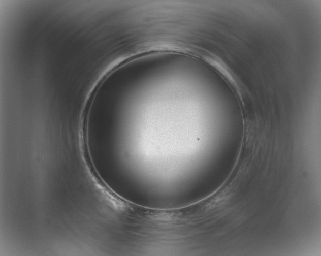 X0000071351048200606261336