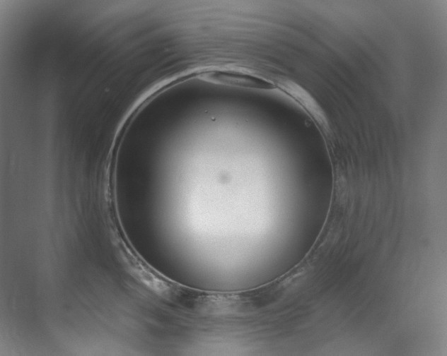 X0000071351052200606261337