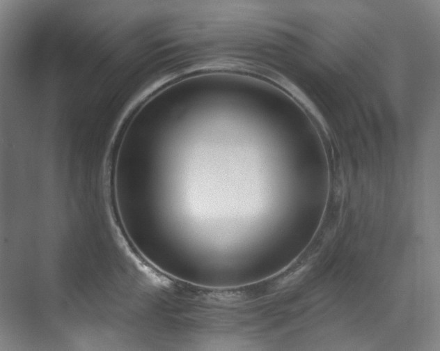 X0000071351053200606261337