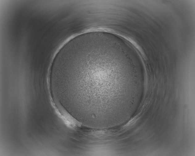 X0000071351054200606261337