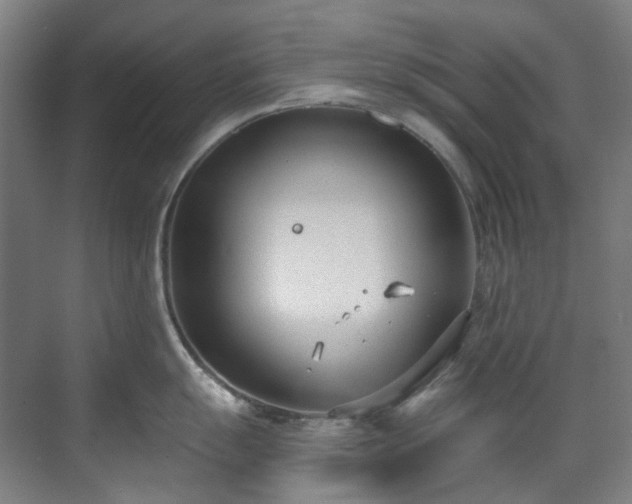 X0000071351055200606261337