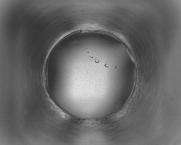 X0000071351056200606261337