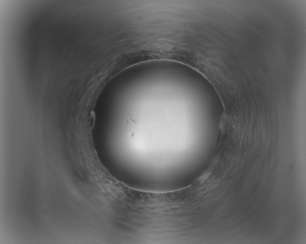 X0000071351057200606261336