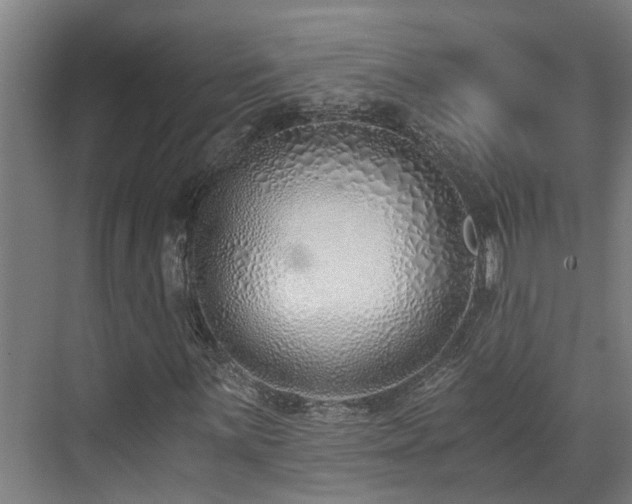 X0000071351059200606261336