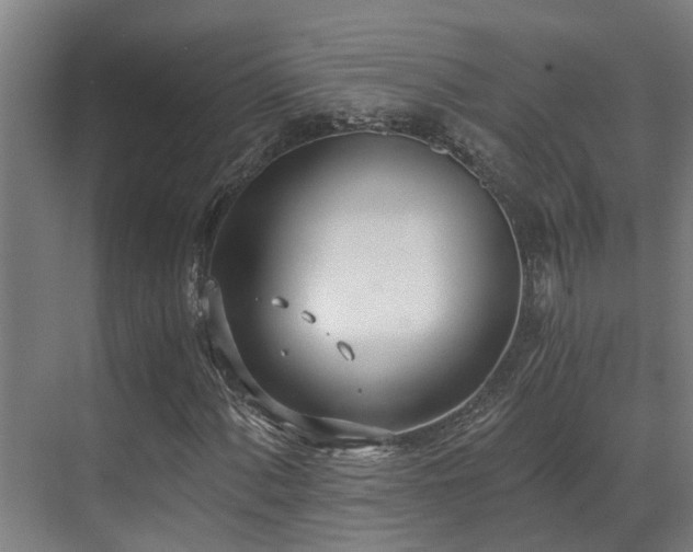 X0000071351060200606261336