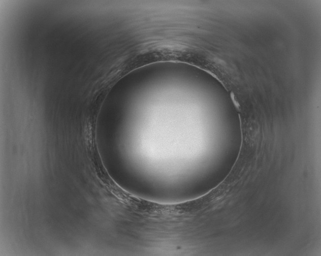 X0000071351061200606261336