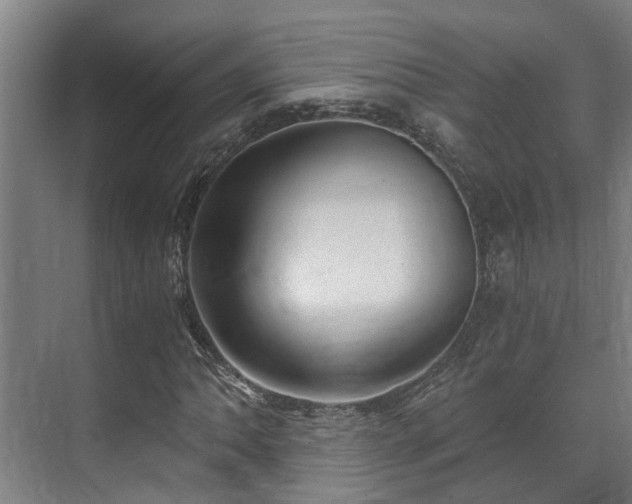 X0000071351062200606261336