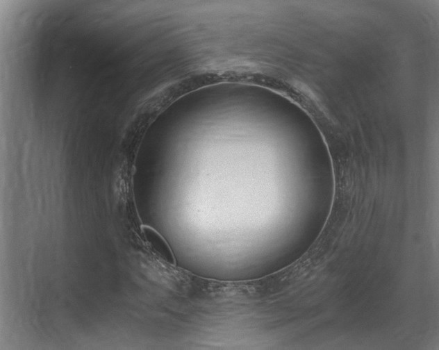 X0000071351063200606261336