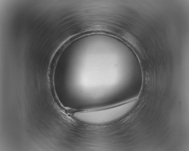 X0000071351068200606261336