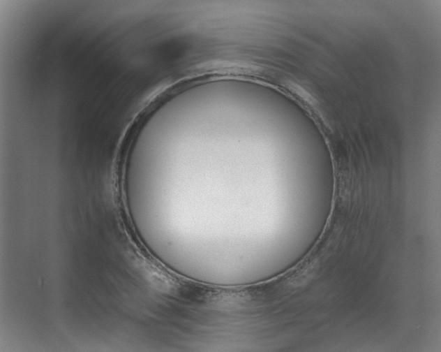 X0000071351074200606261336