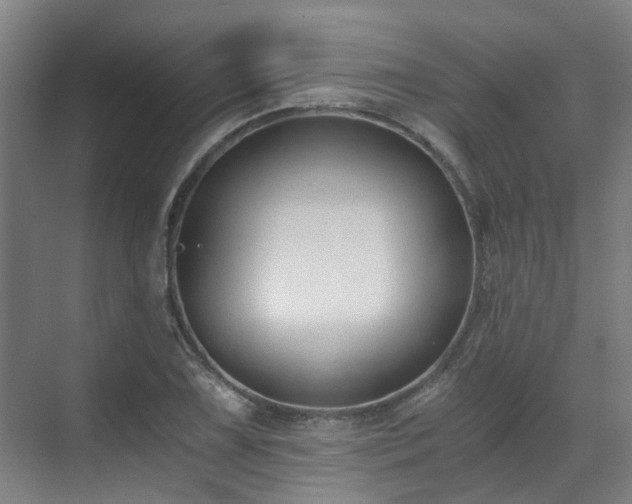 X0000071351075200606261336