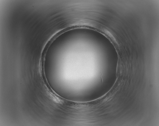 X0000071351076200606261335