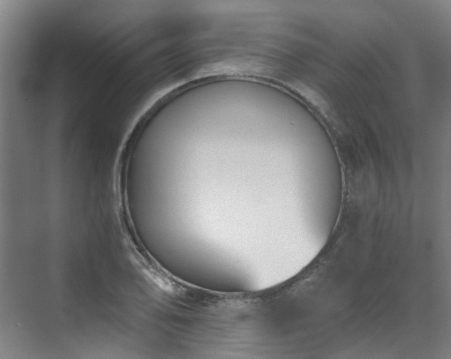 X0000071351078200606261335