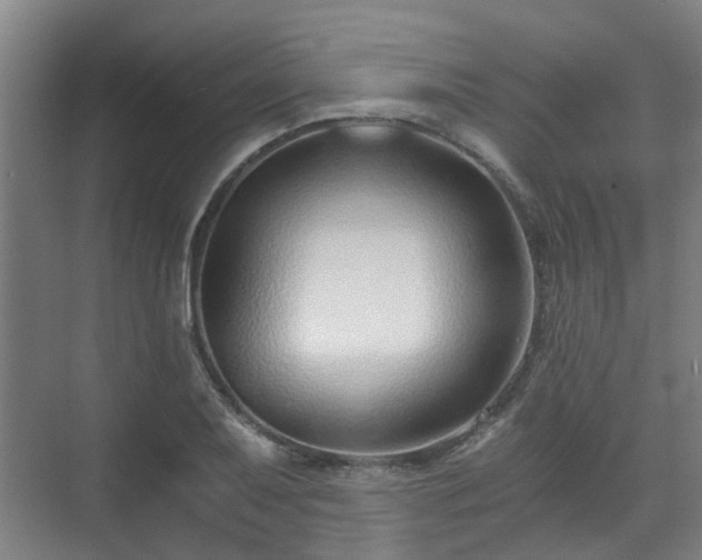 X0000071351079200606261335