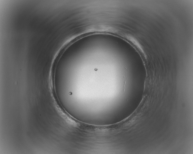 X0000071351080200606261335