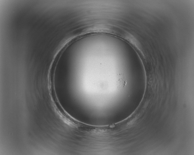 X0000071351082200606261335