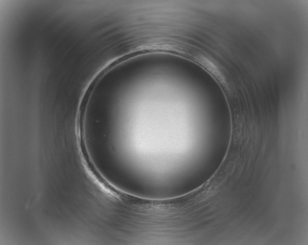 X0000071351084200606261335