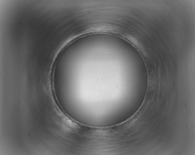 X0000071351086200606261335