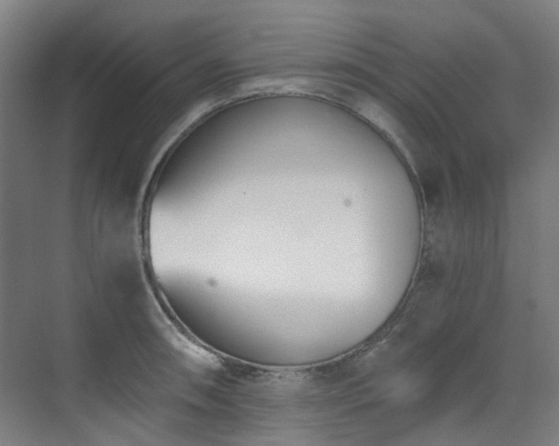 X0000071351090200606261335