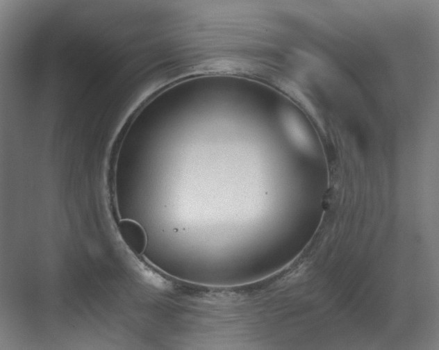 X0000071351091200606261335