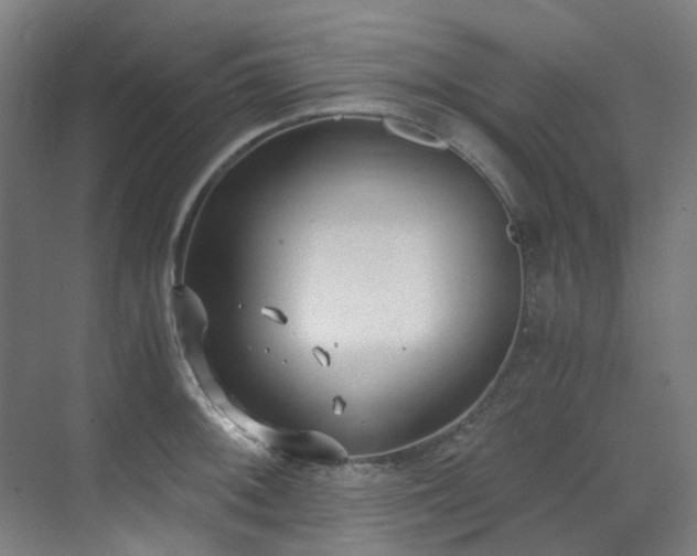 X0000071351092200606261335