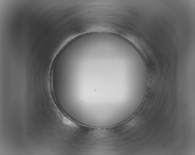 X0000071351094200606261335