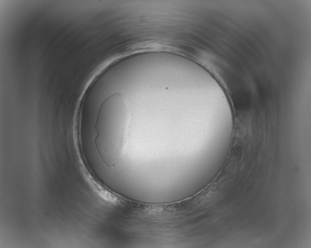 X0000071351098200606261335