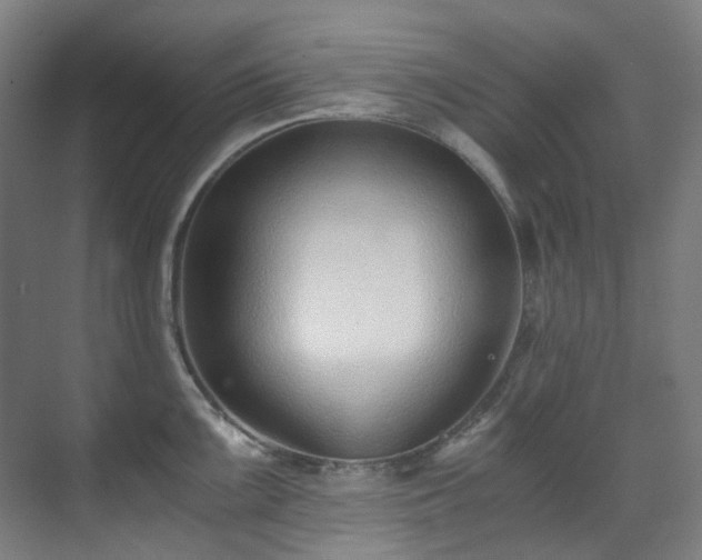 X0000071351099200606261335