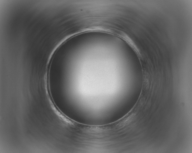 X0000071351100200606261335