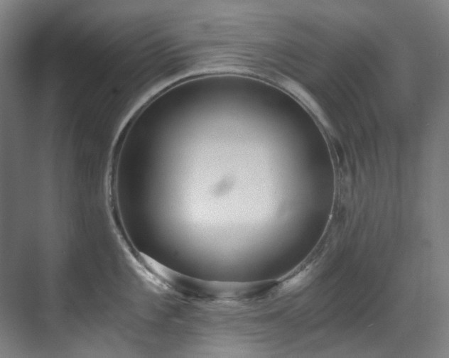 X0000071351101200606261335