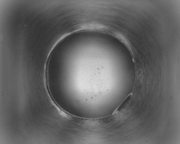 X0000071351103200606261335