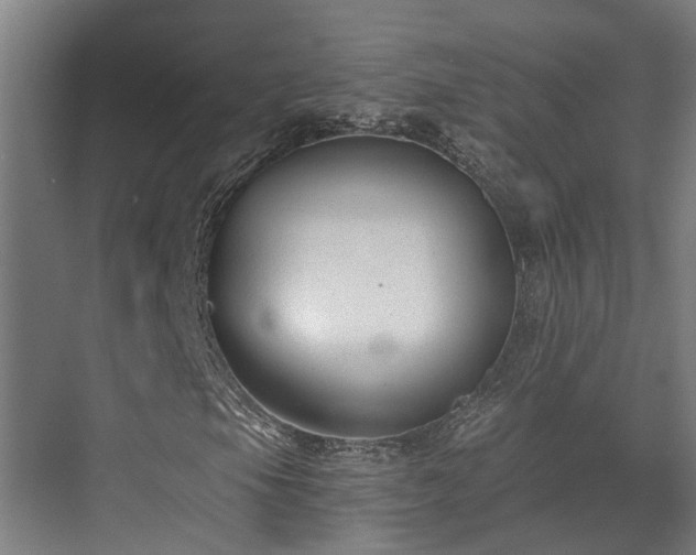 X0000071351105200606261334